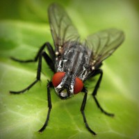 /album/trananrheten/photolia-a01-jpg/