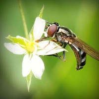 /album/trananrheten/photolia-a02-jpg/