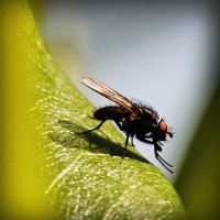 /album/trananrheten/photolia-a04-jpg/