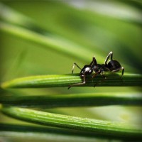 /album/trananrheten/photolia-a05-jpg/