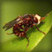 /album/trananrheten/photolia-a06-jpg/