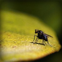 /album/trananrheten/photolia-a07-jpg/